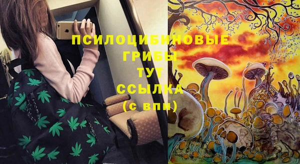 MDMA Premium VHQ Богданович
