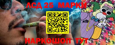 сатива Шахты