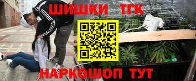сатива Шахты