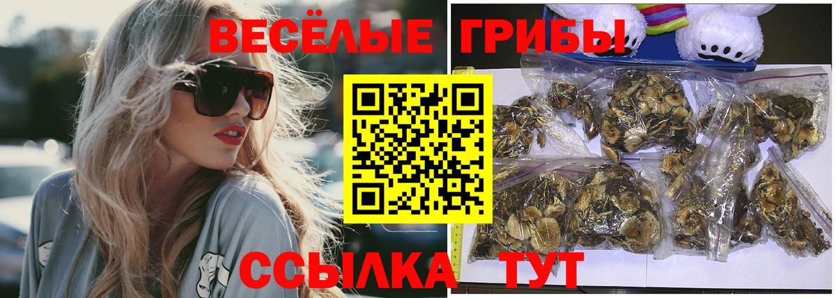 Псилоцибиновые грибы Psilocybine cubensis Арзамас