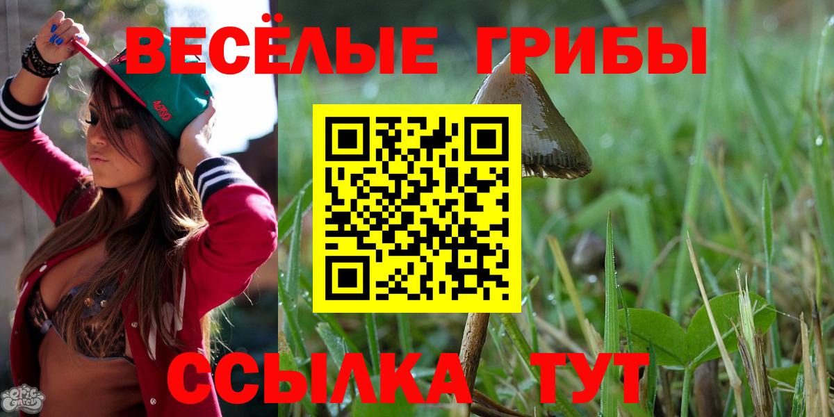 Арзамас  Псилоцибиновые грибы ЛСД  Вход с VPN 